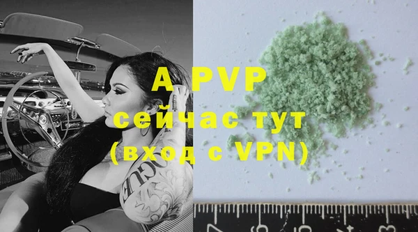 прущая мука Кропоткин