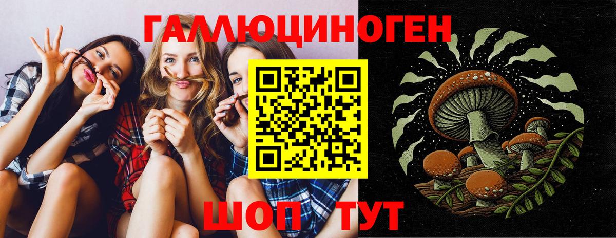 Псилоцибиновые грибы GOLDEN TEACHER Славгород