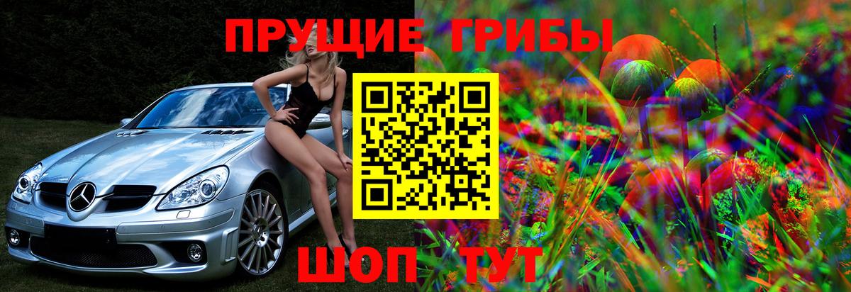 Галлюциногенные грибы Cubensis Славгород