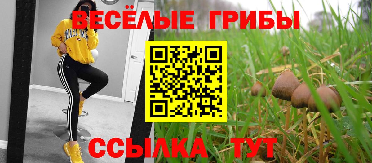 Псилоцибиновые грибы Magic Shrooms  Славгород  даркнет сайт  Псилоцибиновые грибы мицелий 