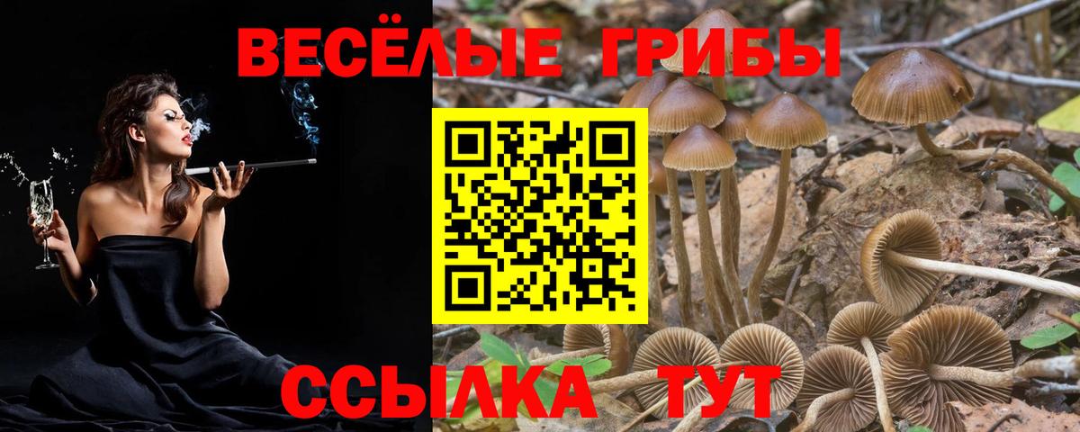 Псилоцибиновые грибы GOLDEN TEACHER  Вход с VPN  Славгород 