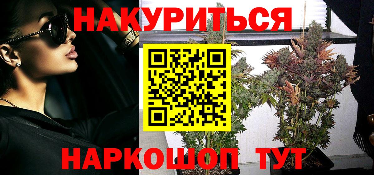 Канабис семена  Шишки марихуана THC 21%  Каннабис ГИДРОПОН  Бошки марихуана SATIVA & INDICA  Славгород  Вход с VPN 